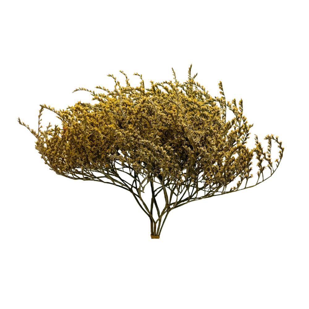 STATICE TARATARICA GR.100 CM.85-90 NATURALE/GIALLO