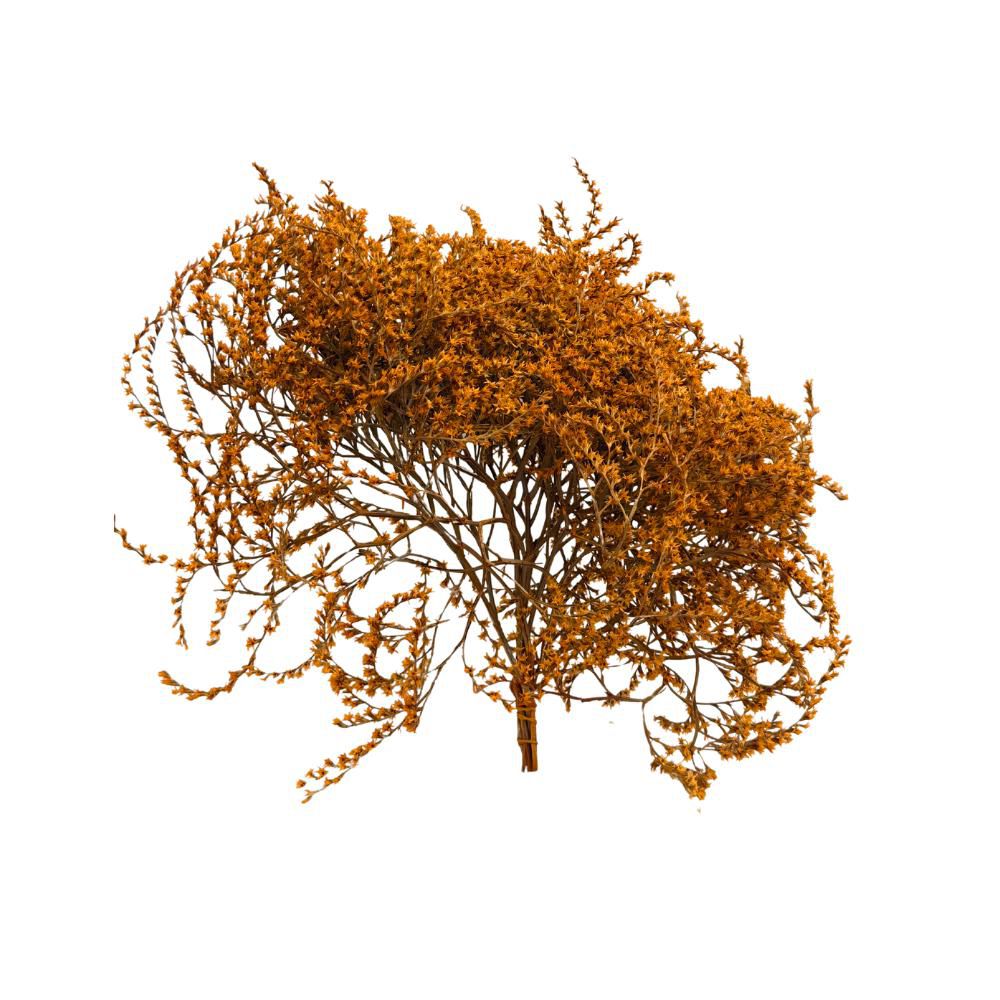 STATICE TARATARICA GR.100 CM.85-90 NATURALE/ARANCIONE