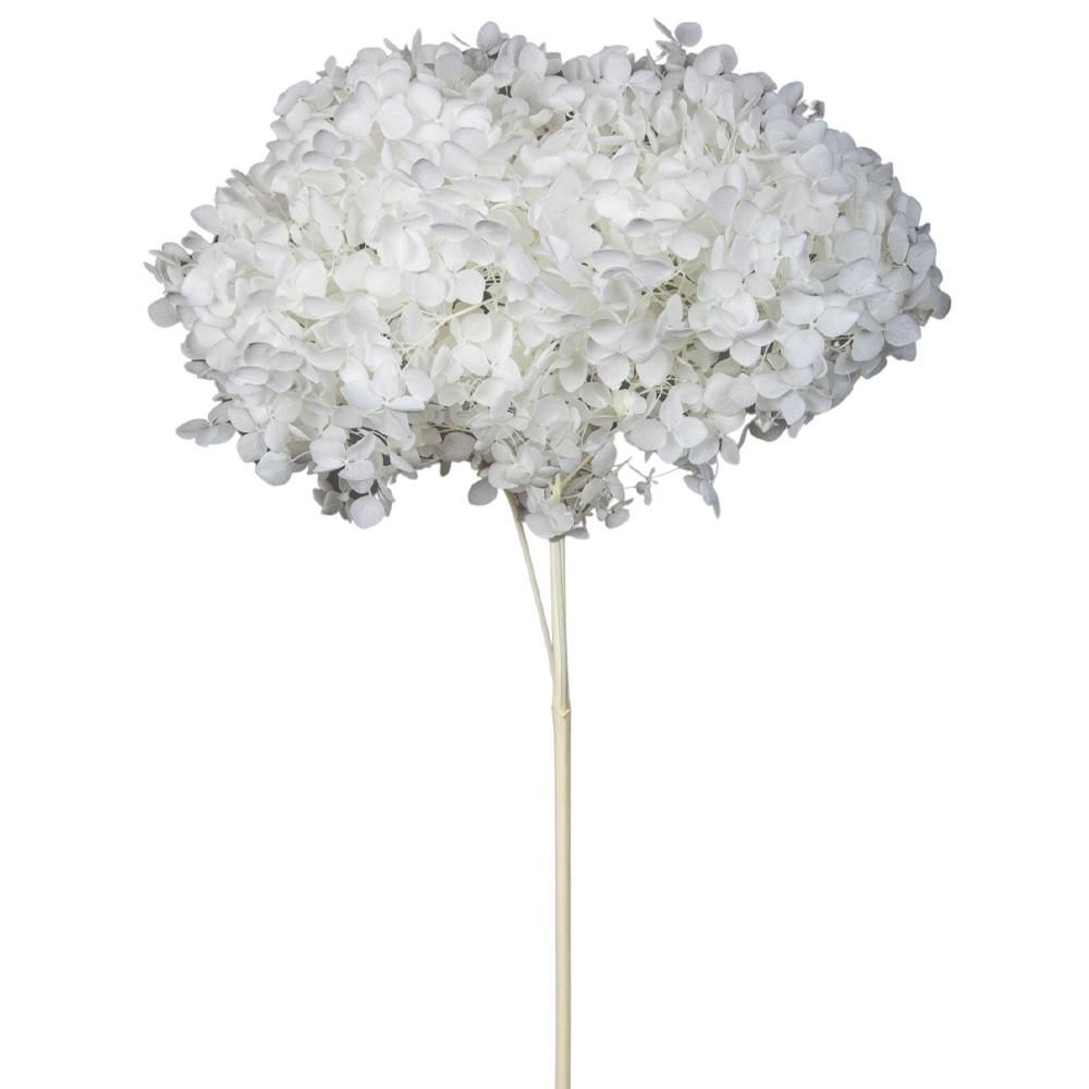 HYDRANGEA STABILIZZATA CM.52 -ANNABELLE- BIANCO HYDRANGEA STABILIZZATA CM.52 -ANNABELLE- BIANCO