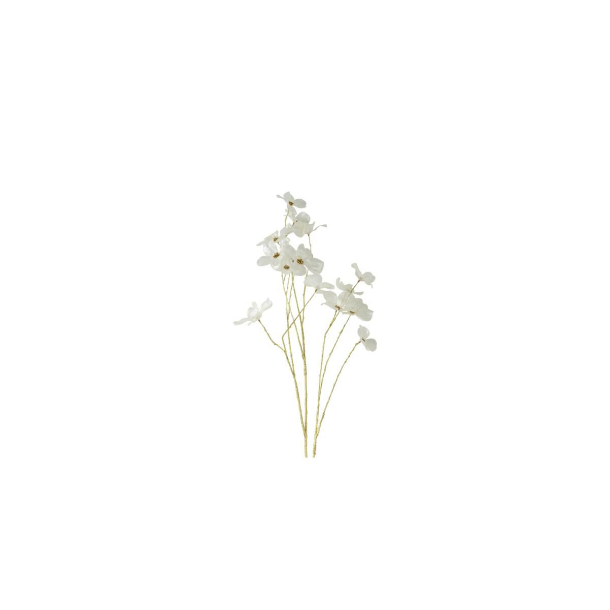 CORNUS RAMO CM.114 -CORNUS L- BIANCO
