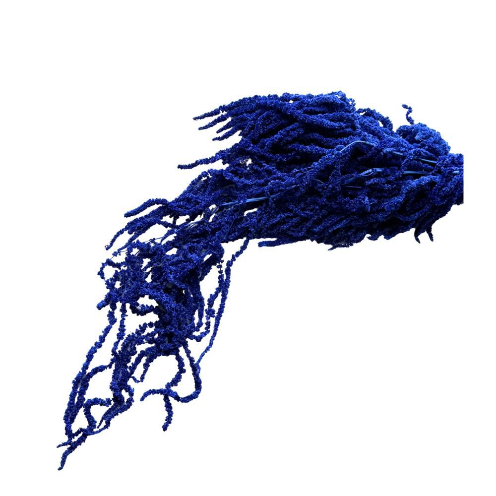 AMARANTHUS CAUD. GR.150CM.70 BLU 16/P