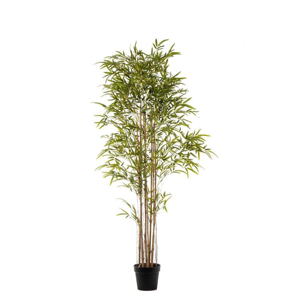 BAMBOO PIANTA C/VASO 3373F CM.240 VERDE BAMBOO PIANTA C/VASO 3373F CM.240 VERDE