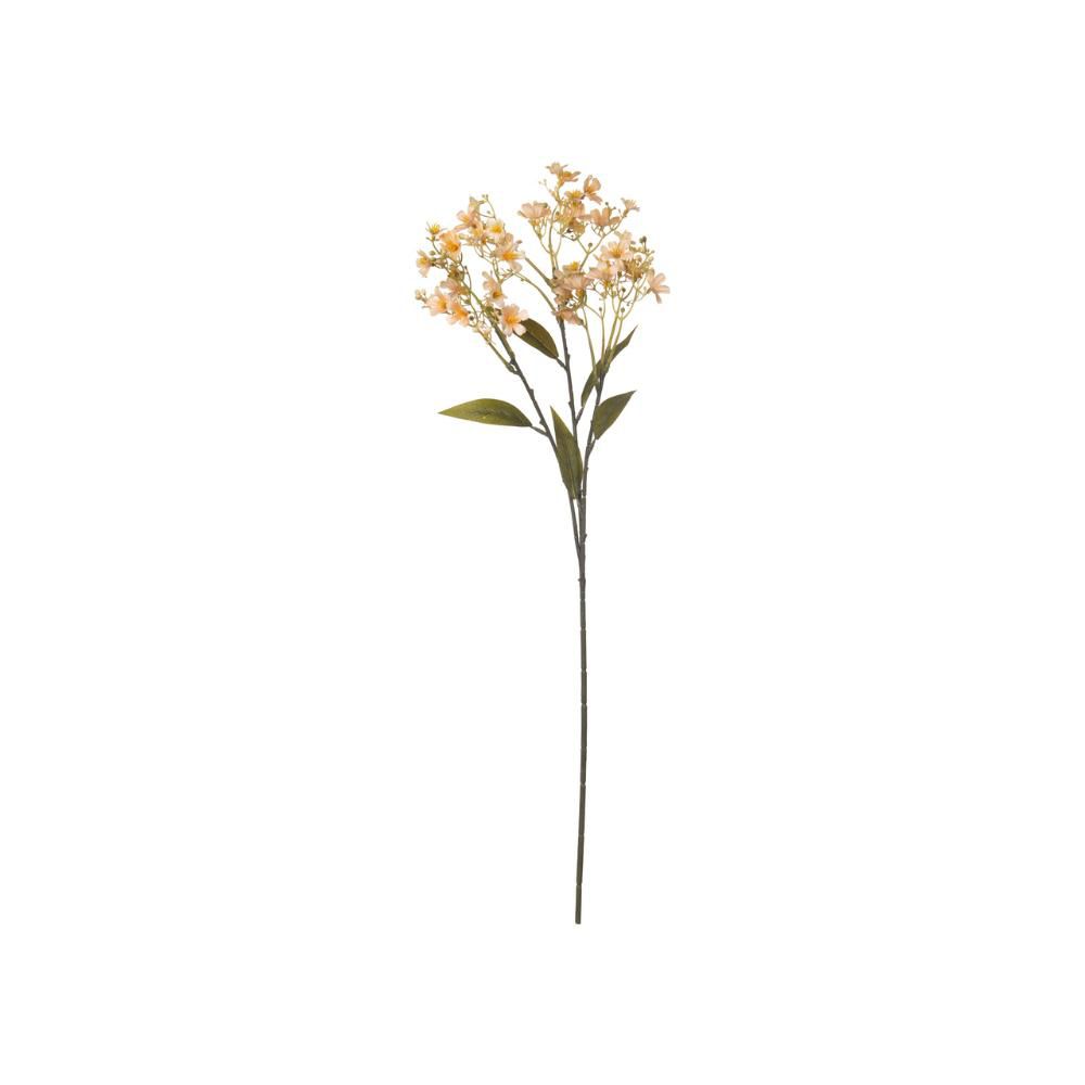 RAMO DAPHNE 3X CM. MARRONE CHIARO