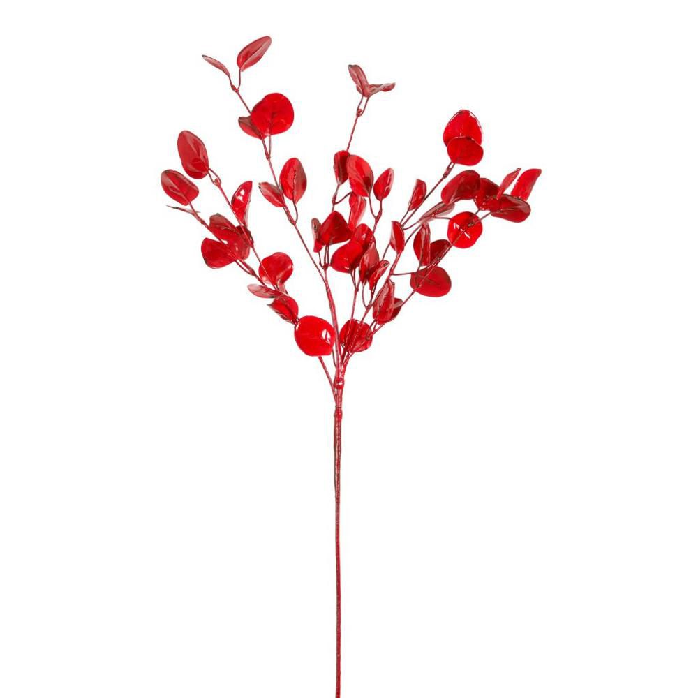 EUCALYPTUS LUCIDO CM.75ROSSO