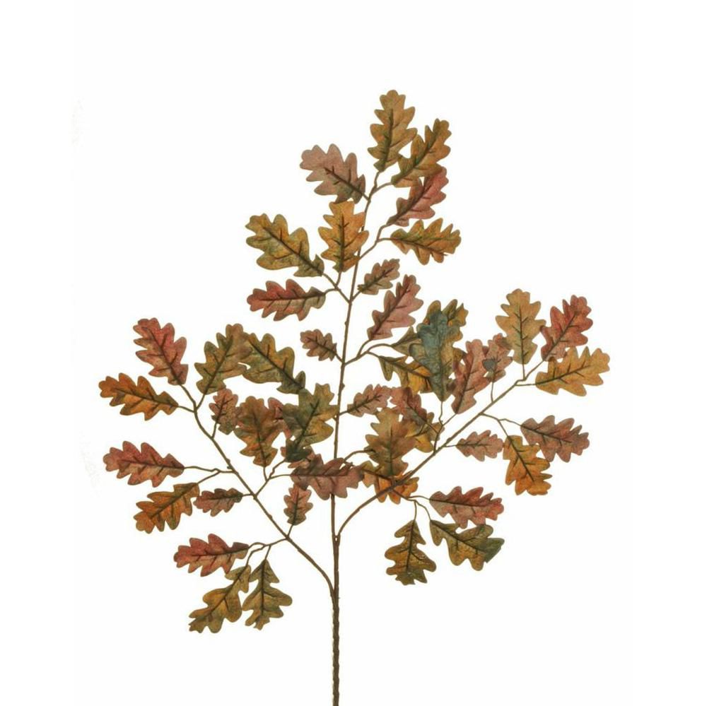 FOGLIAME QUERCIA 3X 47FG CM.56 AUTUNNO