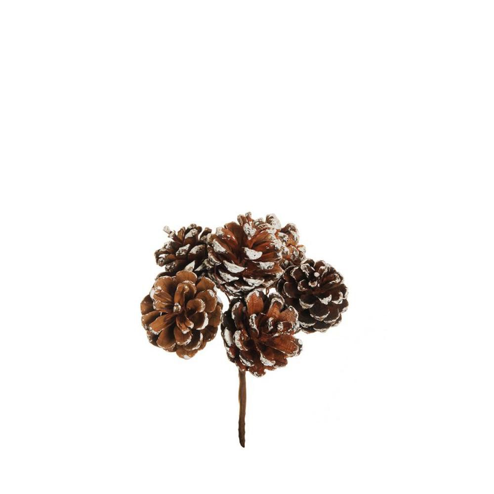 SET 12 BUSH PIGNE MAZZO6PZ. CM.13 NATURALE/BIANCO