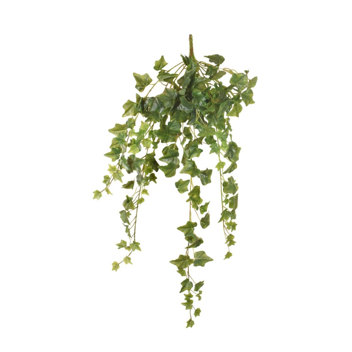 EDERA MINI BUSH 191F CM.90 VERDE EDERA MINI BUSH 191F CM.90 VERDE